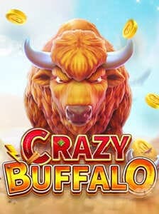 CRAZY BUFFALO